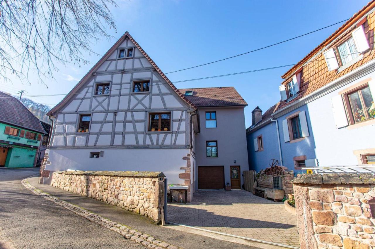 Gite La Rodernelle - Sauna Privatif - Climatisation - Vue Sur Le Chateau Du Haut Koenigsbourg Buitenkant foto