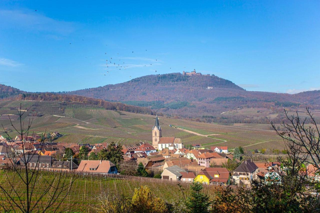 Gite La Rodernelle - Sauna Privatif - Climatisation - Vue Sur Le Chateau Du Haut Koenigsbourg Buitenkant foto